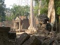 Angkor Ta Prohm P0158